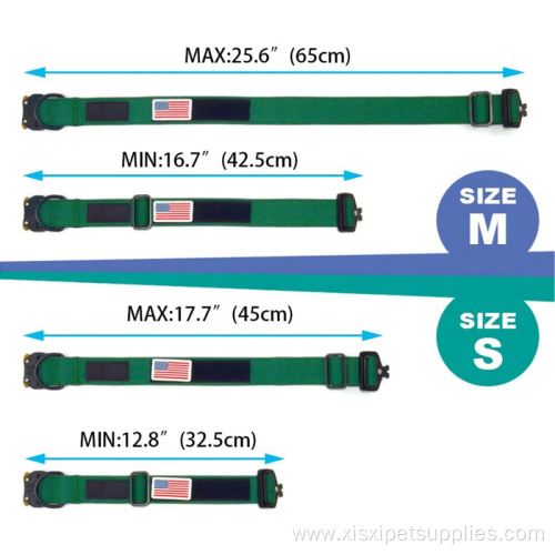 dog training collars and leash set metal buckle